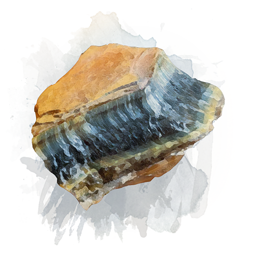 №4□ Citrine 馴れる / Blue tiger eye