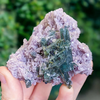 Rare Crystals