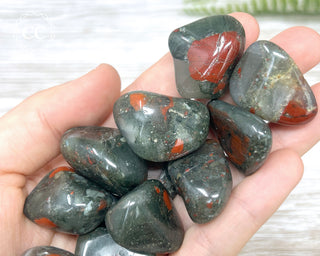 African Bloodstone - Seftonite Tumbled Crystal
