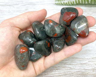 African Bloodstone - Seftonite Tumbled Crystals in hand