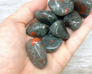 African Bloodstone - Seftonite Tumbled Crystal