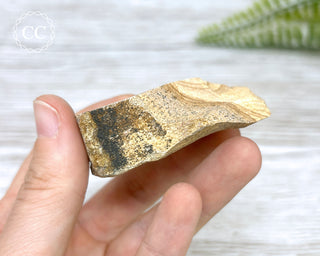 African Queen Picture Jasper - Namibia #6