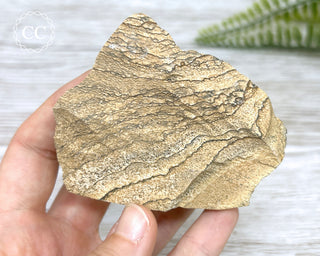 African Queen Picture Jasper - Namibia #2