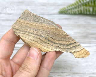 African Queen Picture Jasper - Namibia #3