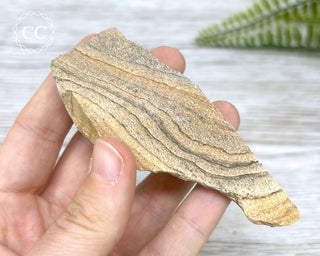 African Queen Picture Jasper - Namibia #3