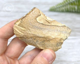 African Queen Picture Jasper - Namibia #6