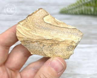 African Queen Picture Jasper - Namibia #6