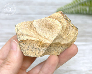 African Queen Picture Jasper - Namibia #6