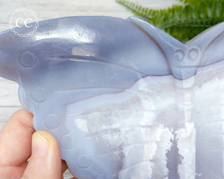 Large Agate Butterfly #4