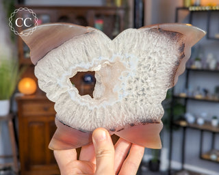 Large Agate Butterfly #3