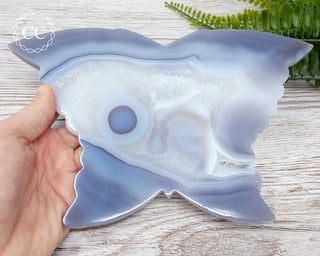 Large Agate Butterfly #4