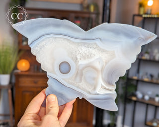 Large Agate Butterfly #4