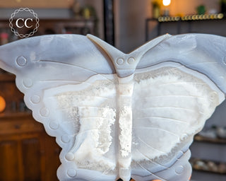 Large Agate Butterfly #4