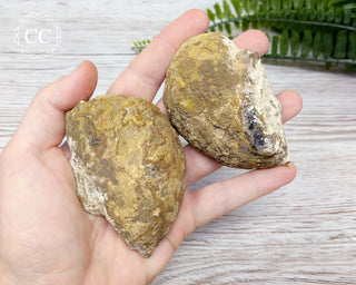 Agate Geode Argentina #9
