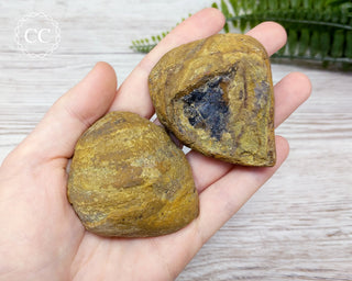 Agate Geode Argentina #10