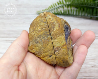 Agate Geode Argentina #10