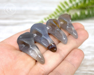 Agate Raven Skulls in hand