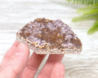 Alacam Amethyst Cluster #4