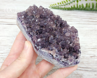 Alacam Amethyst Cluster #13