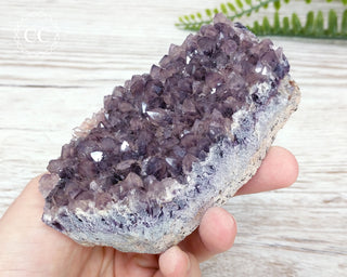 Alacam Amethyst Cluster #13