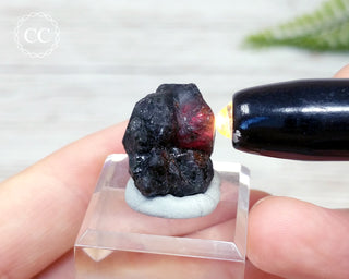 Alexandrite Crystal Specimen #4
