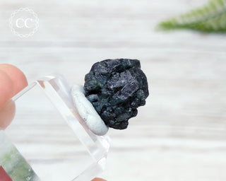 Alexandrite Crystal Specimen #4