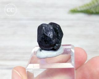 Alexandrite Crystal Specimen #4