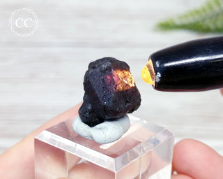 Alexandrite Crystal Specimen #4