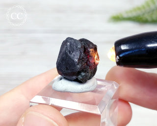 Alexandrite Crystal Specimen #4