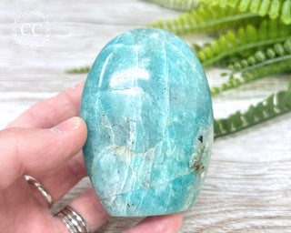 Amazonite Freeform #8