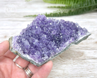 Amethyst Cluster #2