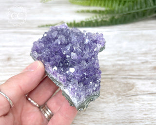 Amethyst Cluster #2