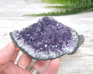 Amethyst Cluster #3