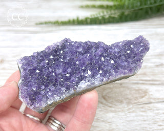 Amethyst Cluster #1