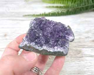 Amethyst Cluster #3