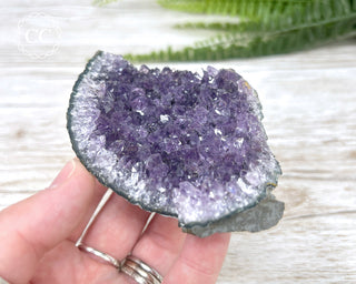 Amethyst Cluster #3