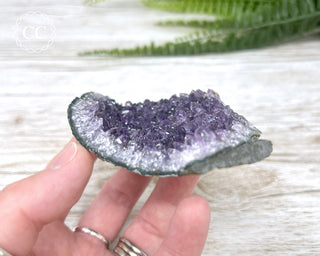 Amethyst Cluster #3