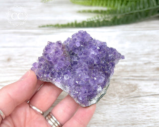 Amethyst Cluster #11