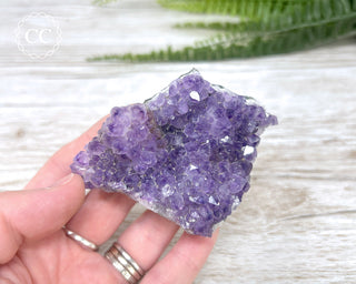 Amethyst Cluster #11