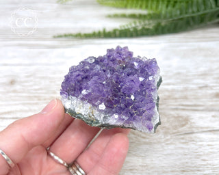 Amethyst Cluster #11