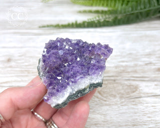 Amethyst Cluster #11