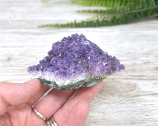 Amethyst Cluster #11