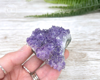 Amethyst Cluster #11