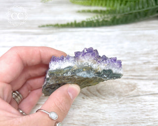Amethyst Cluster #11