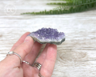 Amethyst Cluster #1