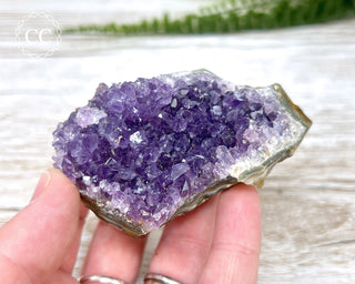 Amethyst Cluster #12