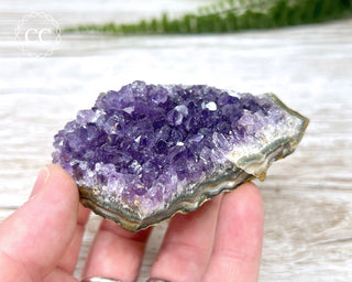 Amethyst Cluster #12