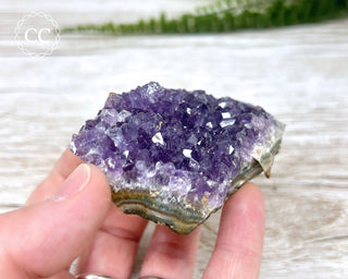 Amethyst Cluster #12