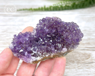 Amethyst Cluster #13