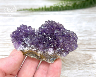Amethyst Cluster #13